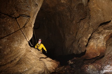 Thumbnail of photo from this article